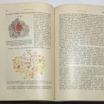 Подвысоцкий В.В. Основы общей и экспериментальной патологии. 11