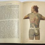 Подвысоцкий В.В. Основы общей и экспериментальной патологии. 9