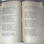 Тургенев И.С. Поп. Поэма. 4