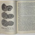 Зинчук Н.Н. [Автограф] Коры выветривания. 6