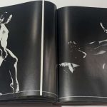 Голубев В. Звезды советской гимнастики. 5