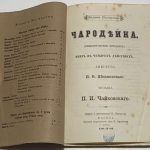 Шпажинский И.В. Чародейка. 4