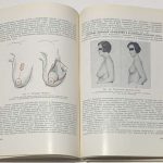 Справочник по косметике. 4