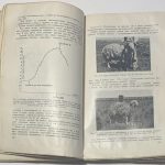 Завадовский М.М. Динамика развития организма. 8